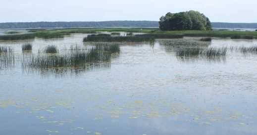 See bei Chechevichi