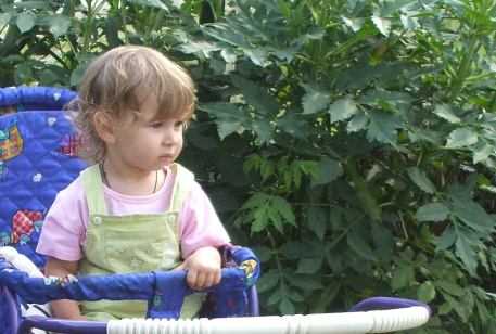 Zhytkavichy: Alexandra
