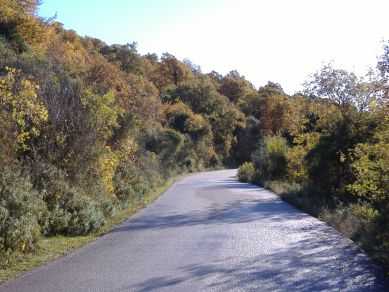 Herbstlicher Laubwald, Montenegro