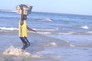 Jungs tragen Fische an den Strand