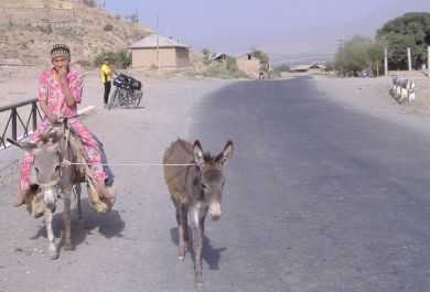 Mädchen auf Esel im Serafschan-Tal