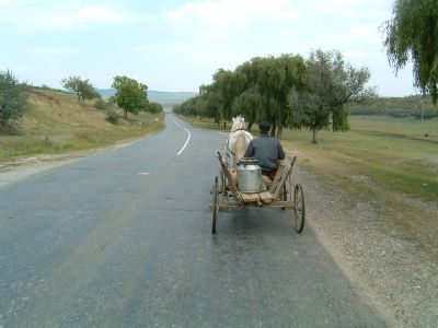 Pferde-Fuhrwerk mit Milchkanne in Moldawien