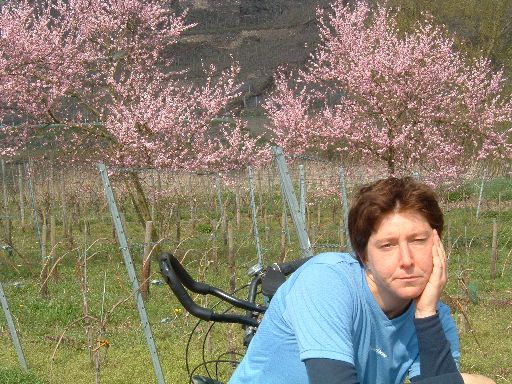 Miri und die Kirschblüte, Mosel