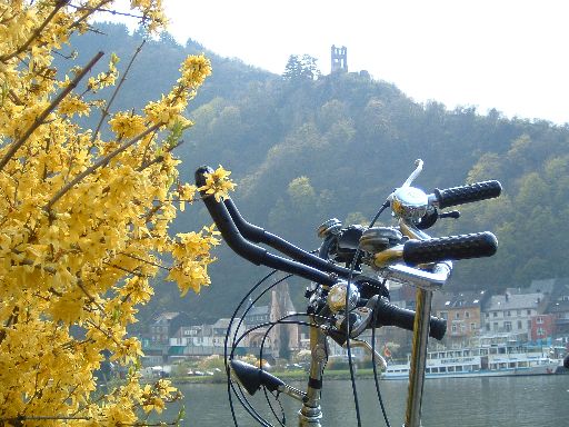 Mosel