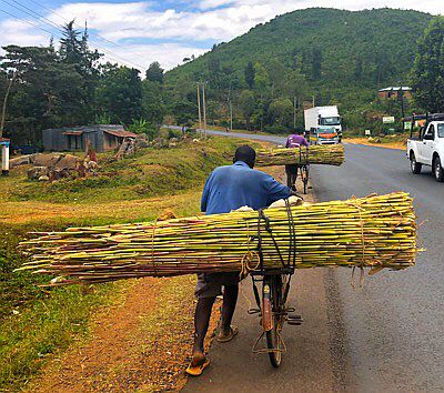 Landstraße Kisumu-Busia bei Yala with Bamboo on the bike