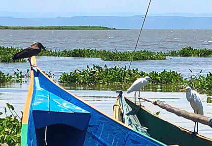 Dunga Beach bei Kisumu