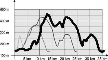 Höhenprofil Kyffhäuser Berglauf