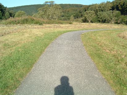 Radweg mit Schatten