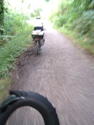 Rad-Speed im Wald