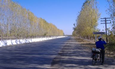 Straße bei Kosoboron, Usbekistan