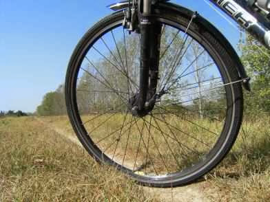 Fahrradweg auf dem Donau-Deich südlich von Budapest, Ungarn