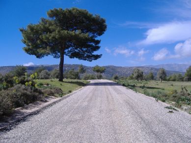 Frühling bei Xanthos in Lykien