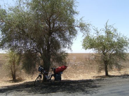 Mittagspause in der Sahara: Panther Dominance Trekking im Schatten