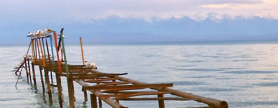 Steg mit Möwen im Ysyk Köl bei Tamchy