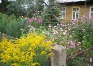 1. Teil: Polen & Belarus