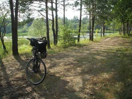 Belarus: Wald