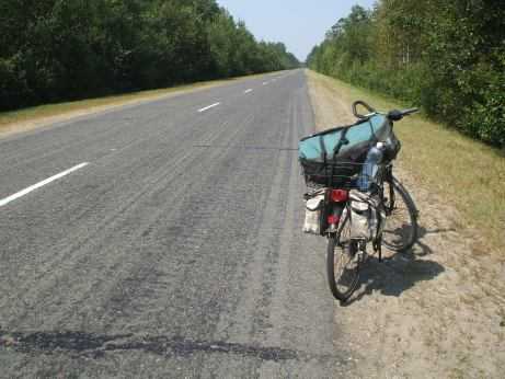 Belarus: Landstraße führt durch Wald