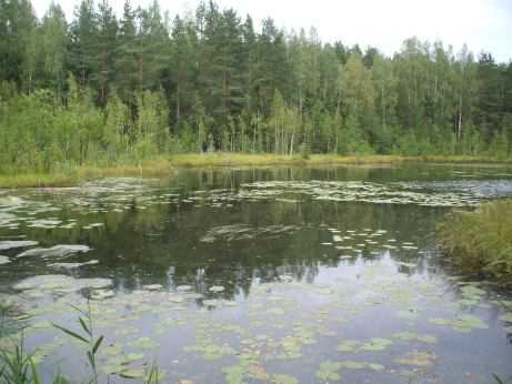 Belarus: See