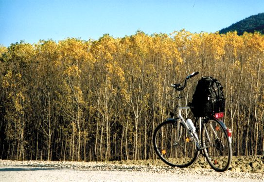 Augusta Herrenrad vor Herbstlaub in der Türkei