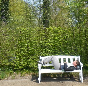 Miri pausiert im Schlossgarten von Hovestadt, Lippetal