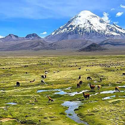 Höchster Berg Boliviens: Sajama (6542 m)