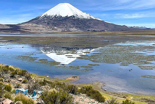 Parinacota (6.380 m) am Lago Chungará