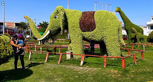 Parque De Topiarios Animales