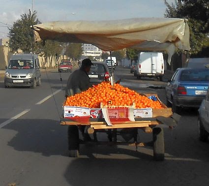 Orangen-Lieferung in Casablanca