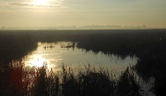Morgensonnendunst bei Kénitra