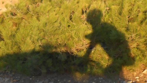 Fahrrad-Schattenspiele im Abendlicht am Cap Spartel