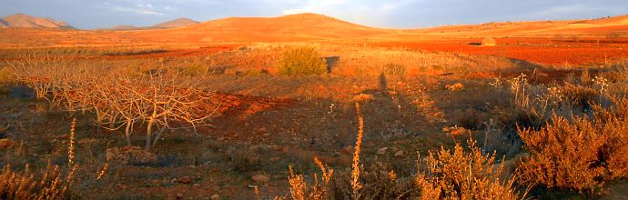 Felder im Abendlicht bei Ait Kamara