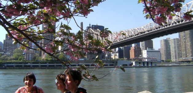 Gundula, Andrea, Miri, Kirschblüten, Queensborough Bridge, Roosevelt Island, Manhattan, New York, USA