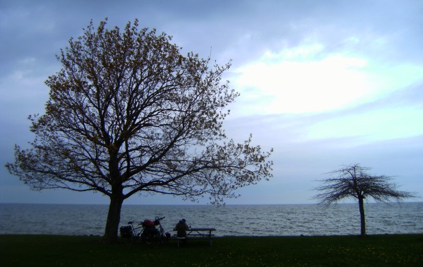 Gewitter-Stimmung mit Bäumen, Bank und See am Hamlin Beach, Ontario-See, USA