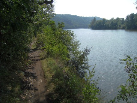 Wilder Moldau-Radweg zwischen Řež und Dolánky bei Libčice nad Vltavou (Libschitz an der Moldau), Tschechien