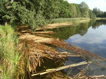 Biosphärenreservat Oberlausitzer Heide- und Teichlandschaft
