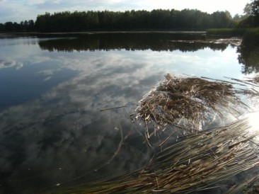 Biosphärenreservat Oberlausitzer Heide- und Teichlandschaft