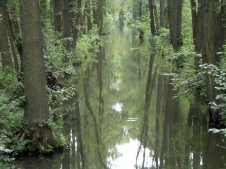Biosphärenreservat Spreewald bei Alt Zauche