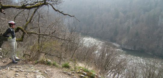 Miri blickt auf den Donau-Durchbruch bei Weltenburg