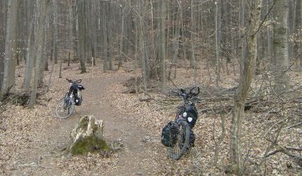 Bikes im Wald bei Weltenburg