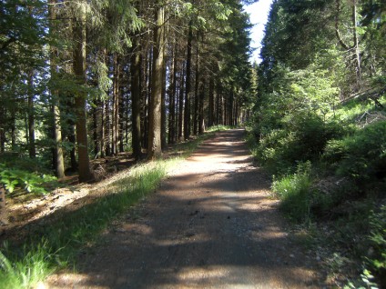 Lahntal-Wald-Radweg in der Nähe der Lahn-Quelle