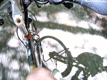 Panther Dominance Trekking: Schattenspiele im Wald auf dem Lahntalradweg