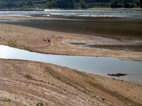 Freiliegende Landzungen: Niedrigwasser am Rhein südlich der Loreley im Juni 2011