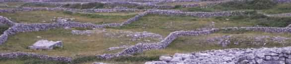 Felder auf Inishmore, Aran Islands, Irland