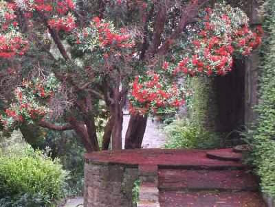 Mount Stewart Gardens am Strangford Lough, Nordirland