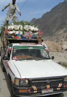 Sonnenschutz als Tierschutz: Hühnerhändler deckt Minikäfige auf seinem Transporter mit Zweigen ab, Karakorum-Highway, Pakistan