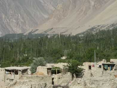 Dorf mit Wald im Hunza-Tal am Karakorum Highway (KKH), Pakistan
