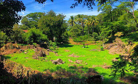 Felder bei Usulután