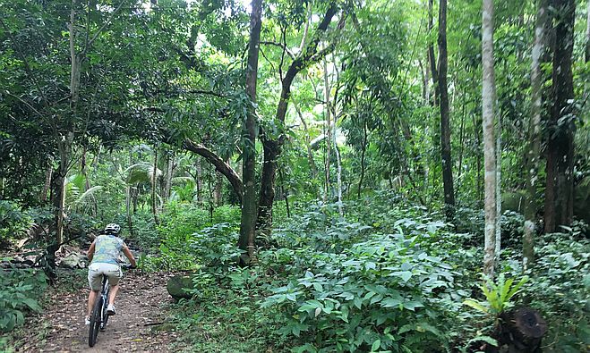 Miri: Jungle Biking in Anse Mamin, St. Lucia