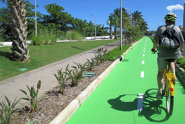 Green Bike Lane in San Juan, Puerto Rico