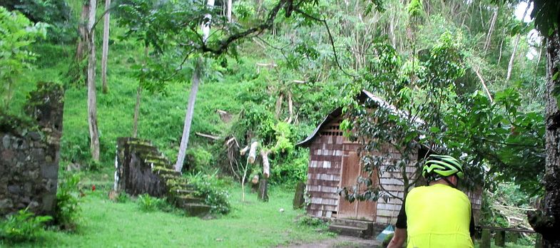 Ruinen des Kakao-Anbaus in Anse Mamin